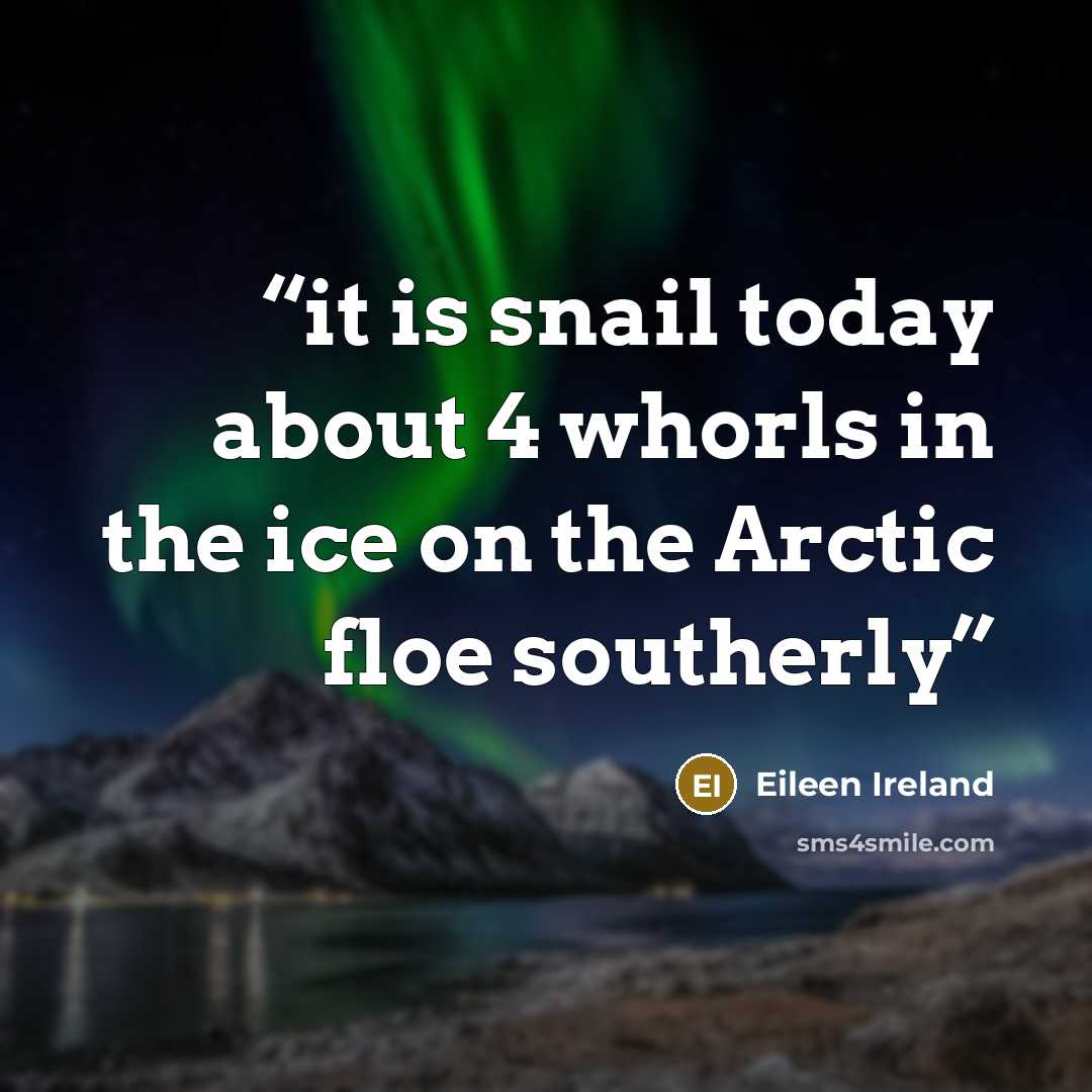 “it is snail today about 4 whorls in the ice on the Arctic floe southerly” quote by Eileen Ireland