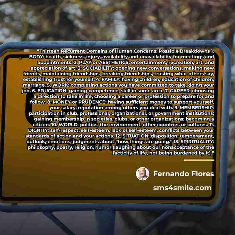 “Thirteen Recurrent Domains of Human Concerns: Possible Breakdowns 1. BODY: health, sickness, injury, availability and unavailability for meetings and appointments. 2. PLAY or AESTHETICS: entertainment, recreation, art, and appreciation of art. 3. SOCIABILITY: opening new conversations, making new…” quote by Fernando Flores