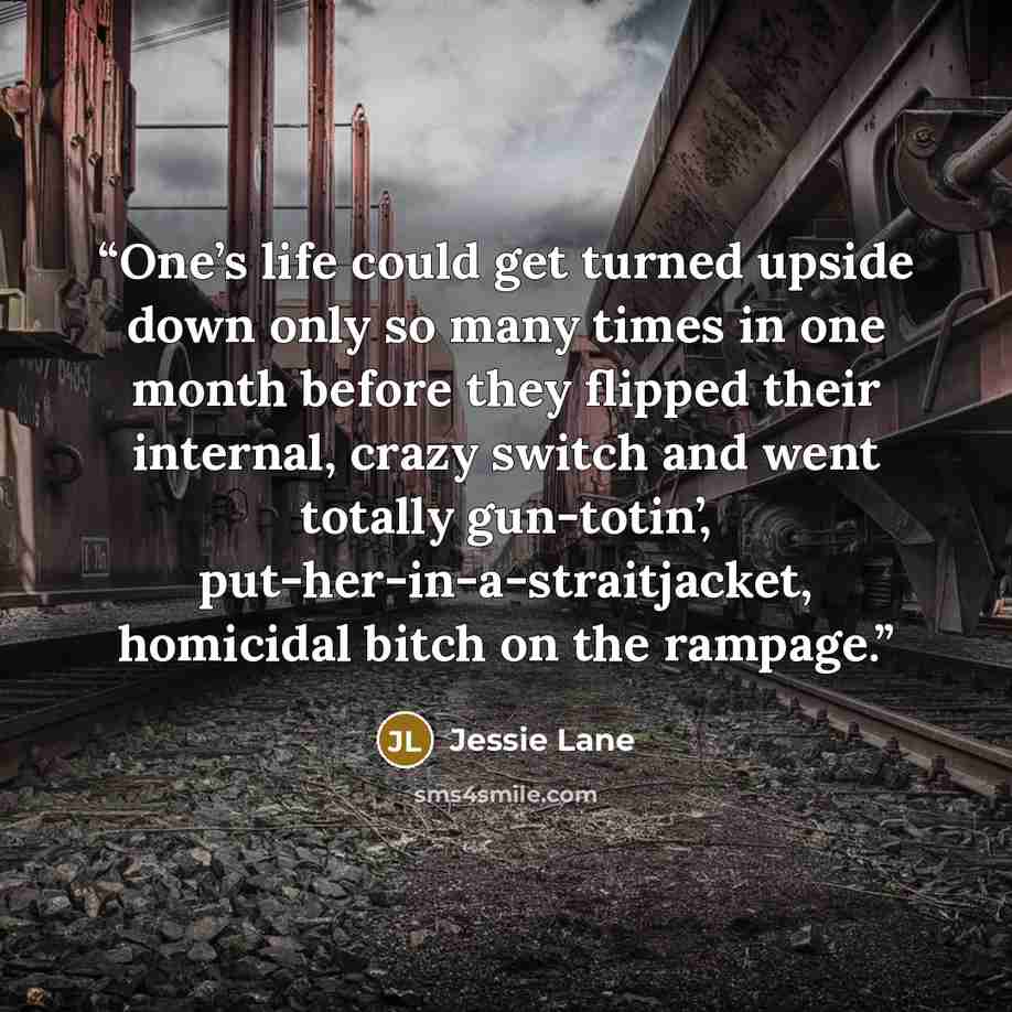 “One’s life could get turned upside down only so many times in one month before they flipped their internal, crazy switch and went totally gun-totin’, put-her-in-a-straitjacket, homicidal bitch on the rampage.” quote by Jessie Lane