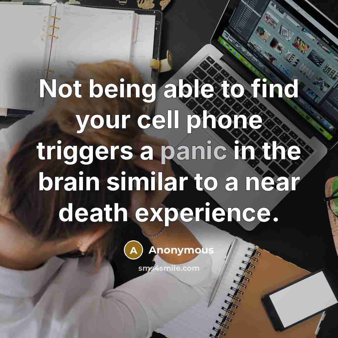 “Not being able to find your cell phone triggers a panic in the brain similar to a near death experience.” quote by Anonymous