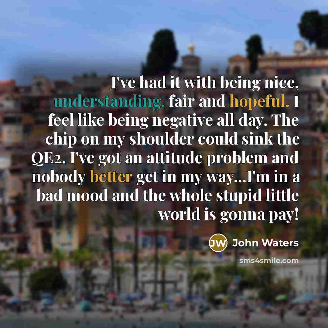 “I've had it with being nice, understanding, fair and hopeful. I feel like being negative all day. The chip on my shoulder could sink the QE2. I've got an attitude problem and nobody better get in my way...I'm in a bad mood and the whole stupid little world is gonna pay!” quote by John Waters
