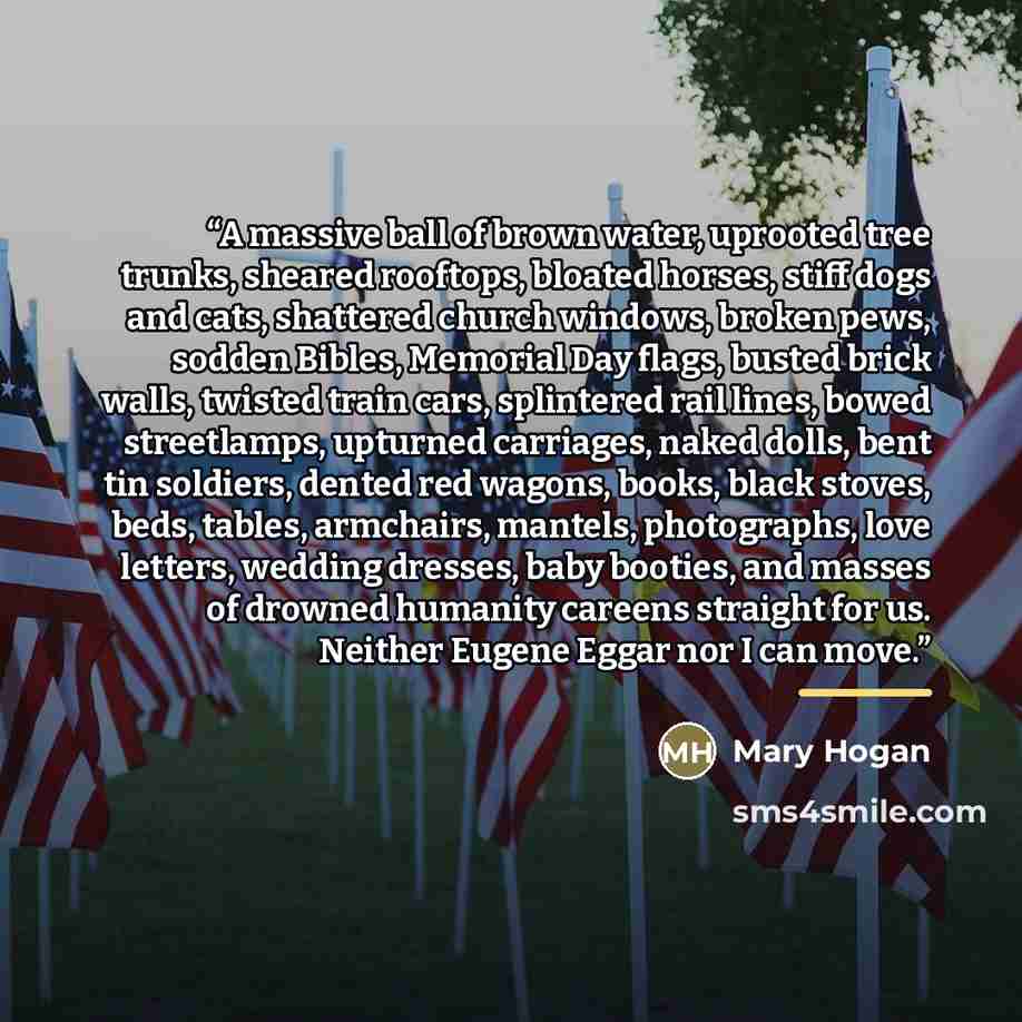 “A massive ball of brown water, uprooted tree trunks, sheared rooftops, bloated horses, stiff dogs and cats, shattered church windows, broken pews, sodden Bibles, Memorial Day flags, busted brick walls, twisted train cars, splintered rail lines, bowed streetlamps, upturned carriages, naked dolls…” quote by Mary Hogan