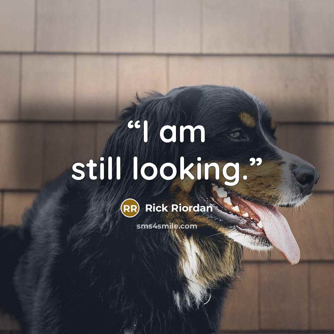“I am still looking.” quote by Rick Riordan