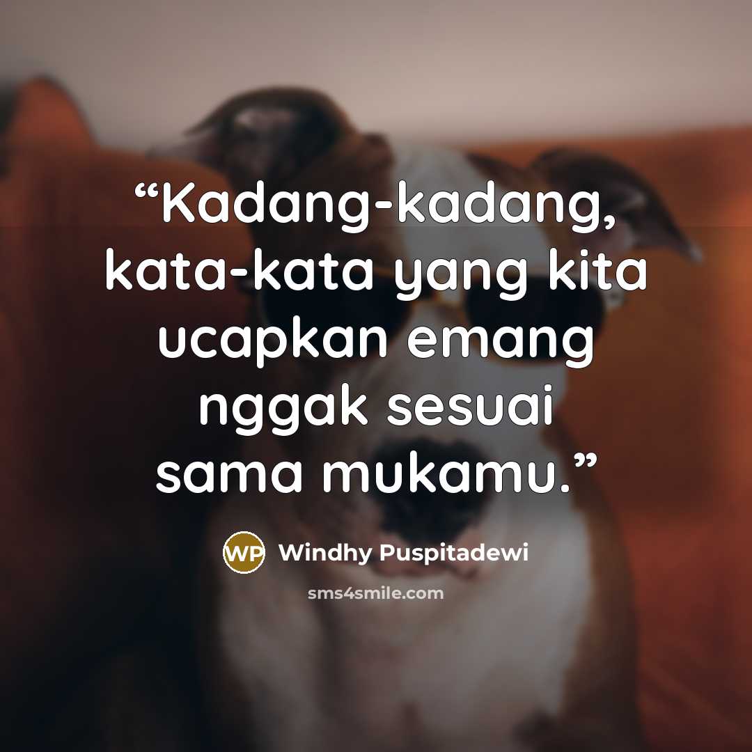 “Kadang-kadang, kata-kata yang kita ucapkan emang nggak sesuai sama mukamu.” quote by Windhy Puspitadewi