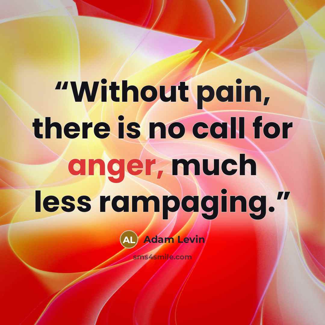 “Without pain, there is no call for anger, much less rampaging.” quote by Adam Levin
