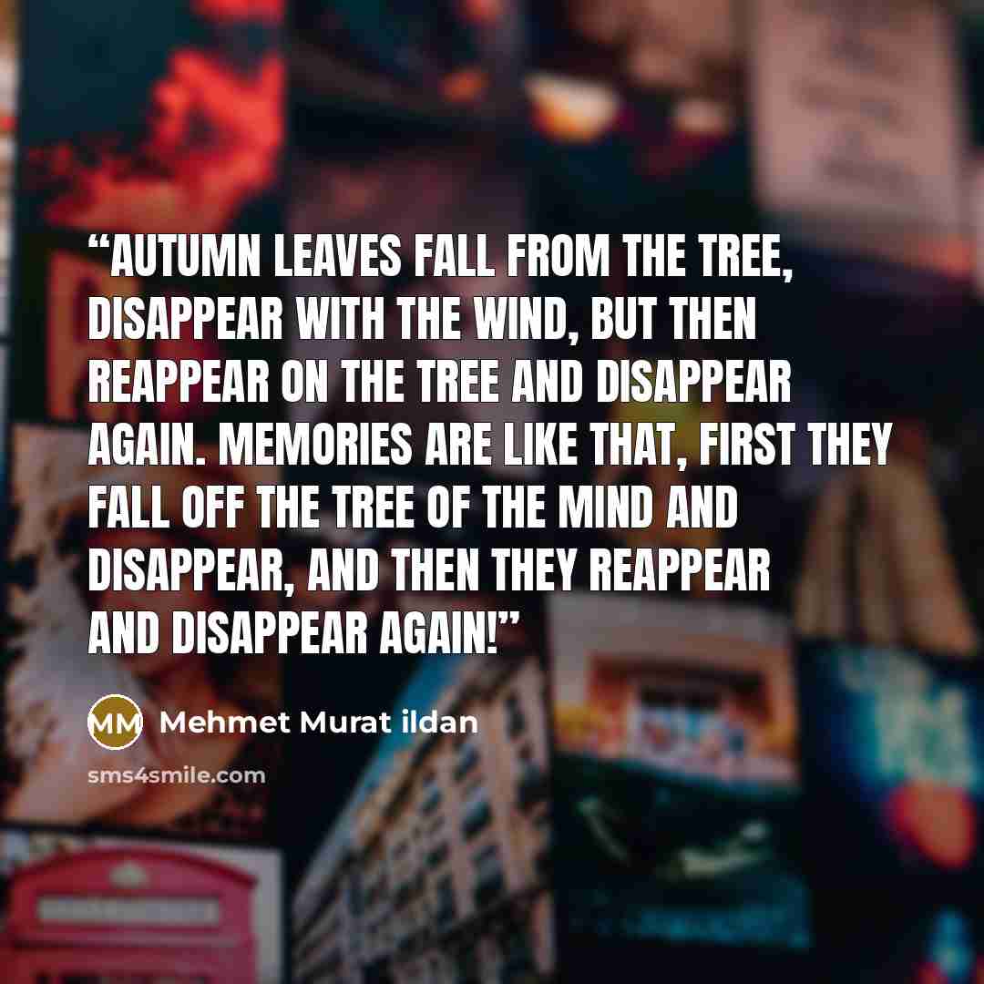 “Autumn leaves fall from the tree, disappear with the wind, but then reappear on the tree and disappear again. Memories are like that, first they fall off the tree of the mind and disappear, and then they reappear and disappear again!” quote by Mehmet Murat ildan