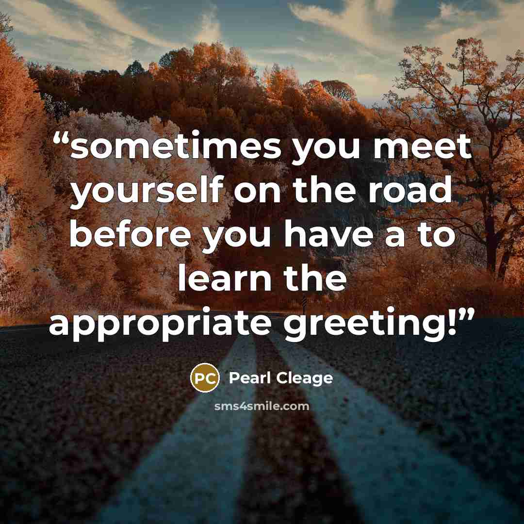 “sometimes you meet yourself on the road before you have a to learn the appropriate greeting!” quote by Pearl Cleage