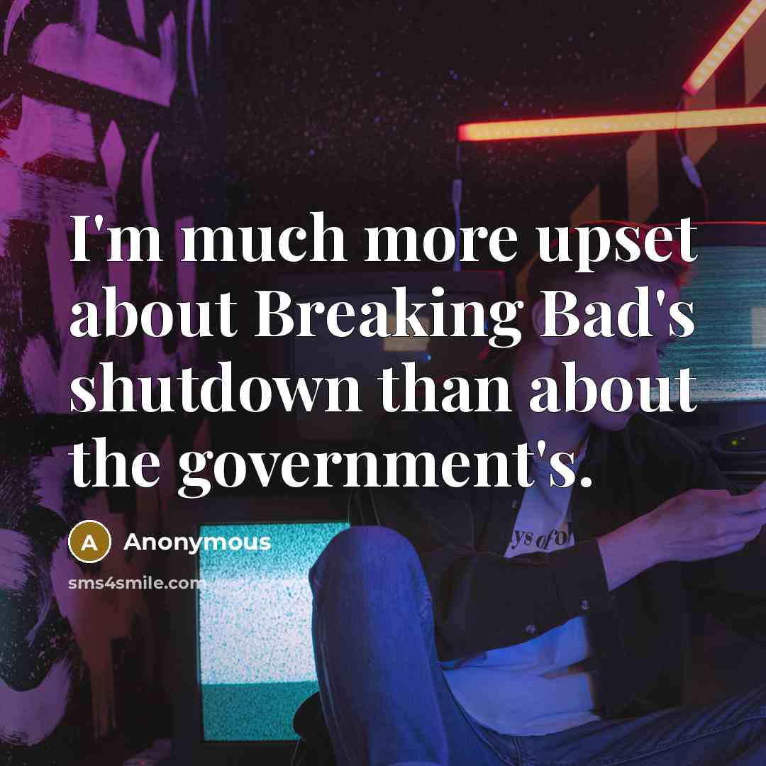 “I'm much more upset about Breaking Bad's shutdown than about the government's.” quote by Anonymous
