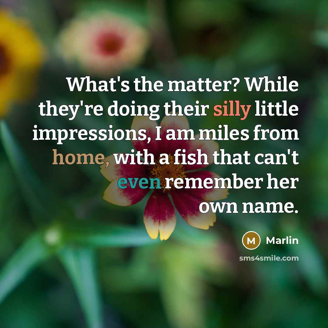 “What's the matter? While they're doing their silly little impressions, I am miles from home, with a fish that can't even remember her own name.” quote by Marlin