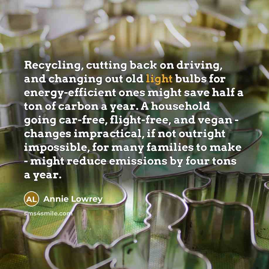 “Recycling, cutting back on driving, and changing out old light bulbs for energy-efficient ones might save half a ton of carbon a year. A household going car-free, flight-free, and vegan - changes impractical, if not outright impossible, for many families to make - might reduce emissions by four…” quote by Annie Lowrey