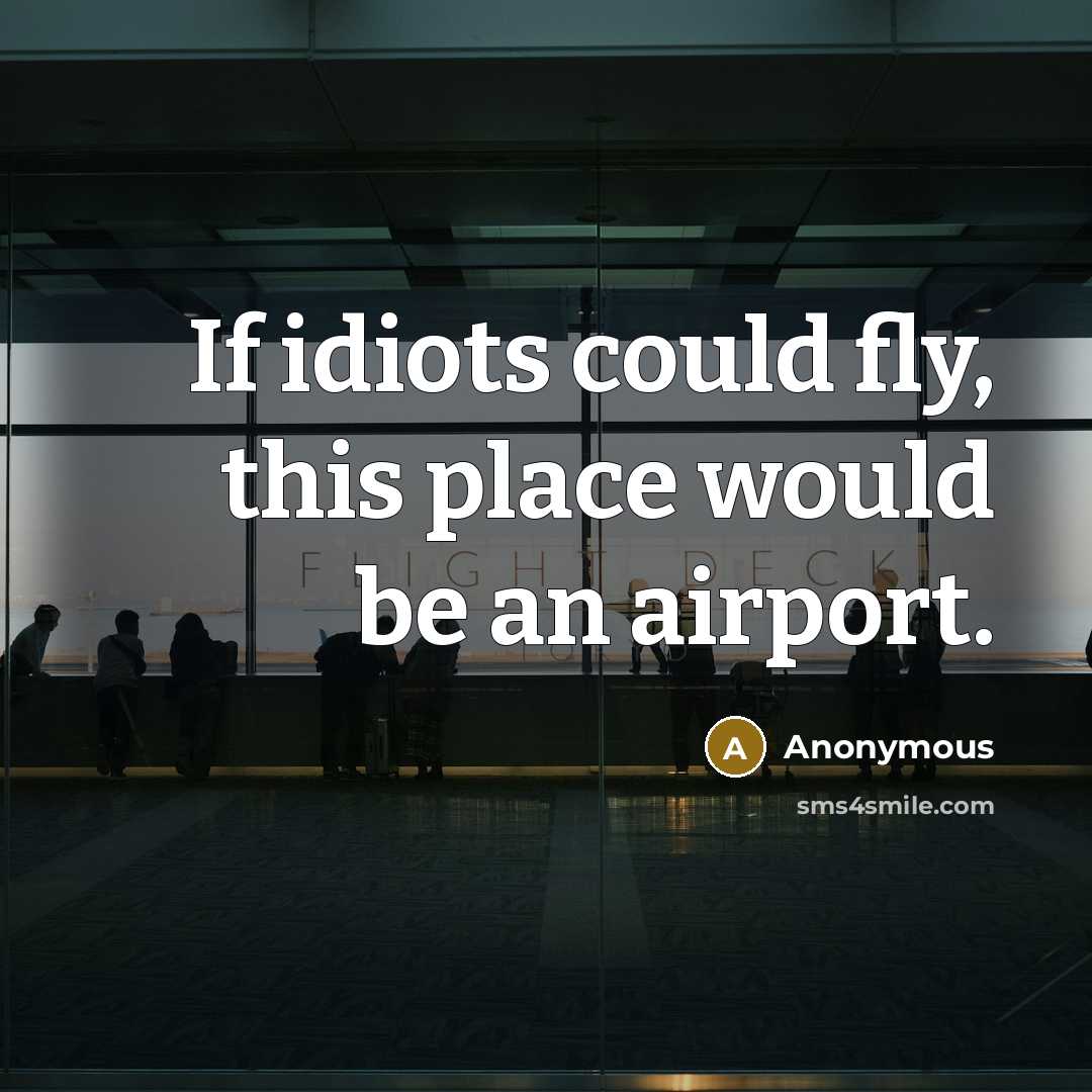 “If idiots could fly, this place would be an airport.” quote by Anonymous