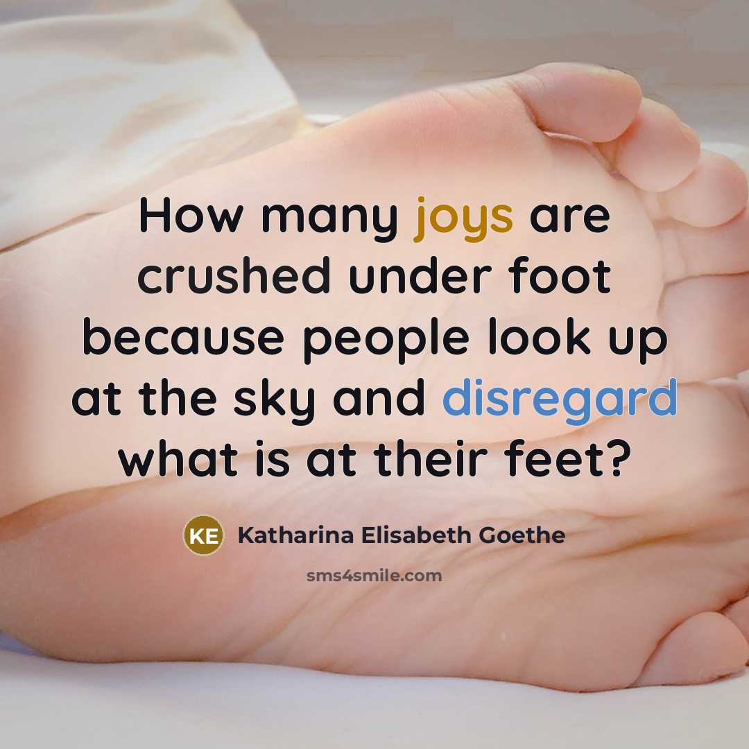 “How many joys are crushed under foot because people look up at the sky and disregard what is at their feet?” quote by Katharina Elisabeth Goethe
