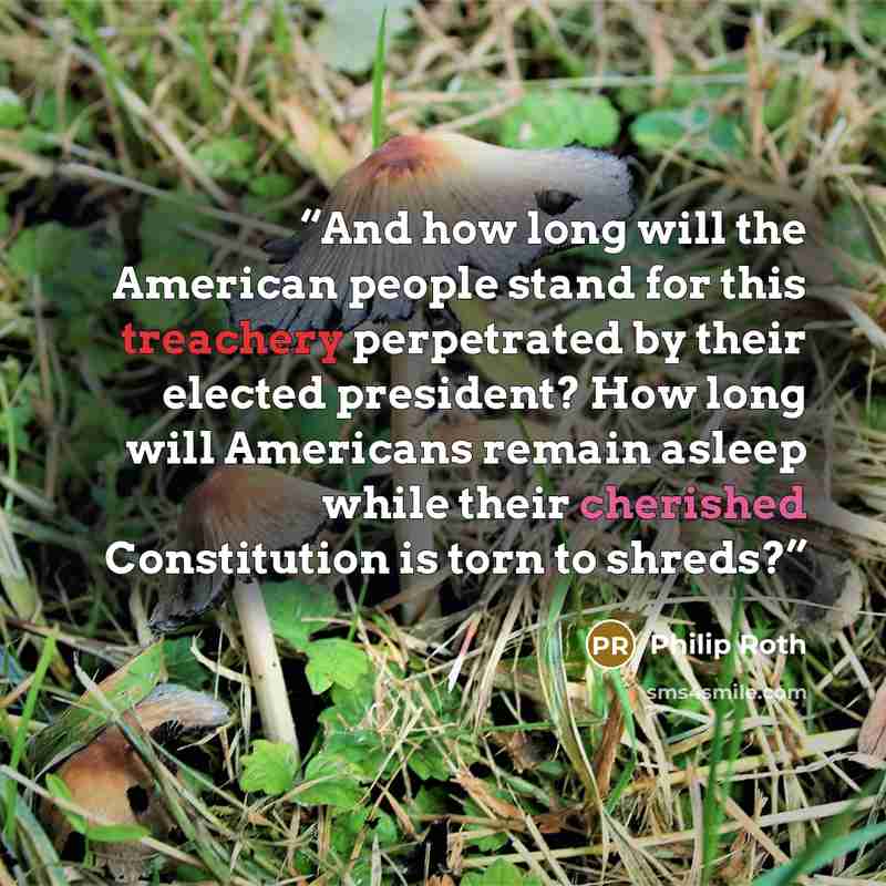 “And how long will the American people stand for this treachery perpetrated by their elected president? How long will Americans remain asleep while their cherished Constitution is torn to shreds?” quote by Philip Roth