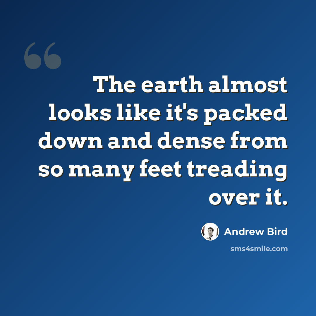 “The earth almost looks like it's packed down and dense from so many feet treading over it.” quote by Andrew Bird