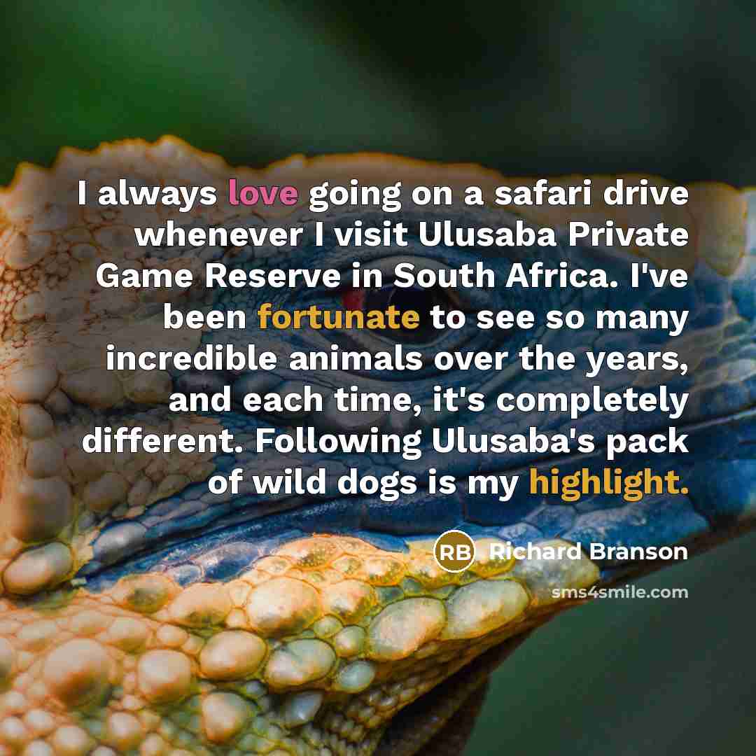 “I always love going on a safari drive whenever I visit Ulusaba Private Game Reserve in South Africa. I've been fortunate to see so many incredible animals over the years, and each time, it's completely different. Following Ulusaba's pack of wild dogs is my highlight.” quote by Richard Branson