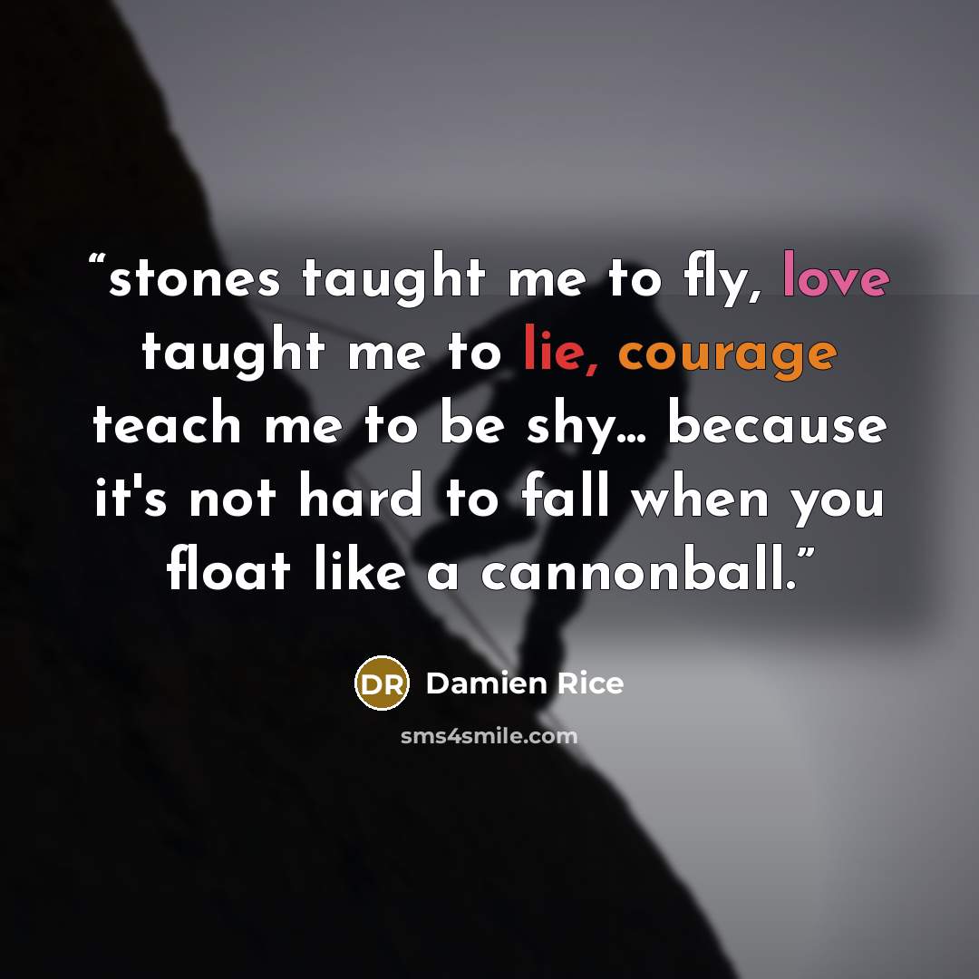 “stones taught me to fly, love taught me to lie, courage teach me to be shy... because it's not hard to fall when you float like a cannonball.” quote by Damien Rice