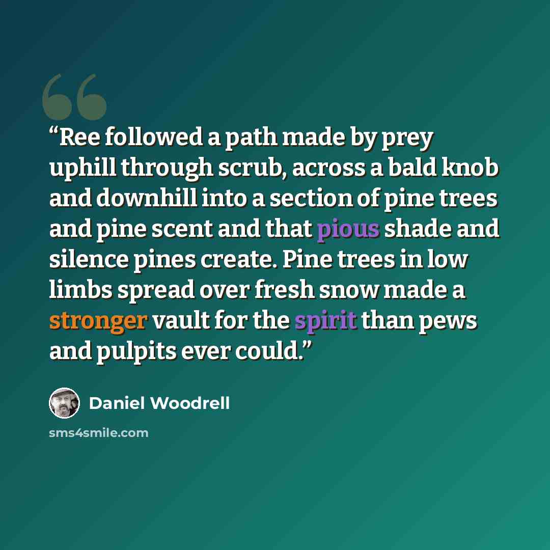 “Ree followed a path made by prey uphill through scrub, across a bald knob and downhill into a section of pine trees and pine scent and that pious shade and silence pines create. Pine trees in low limbs spread over fresh snow made a stronger vault for the spirit than pews and pulpits ever could.” quote by Daniel Woodrell