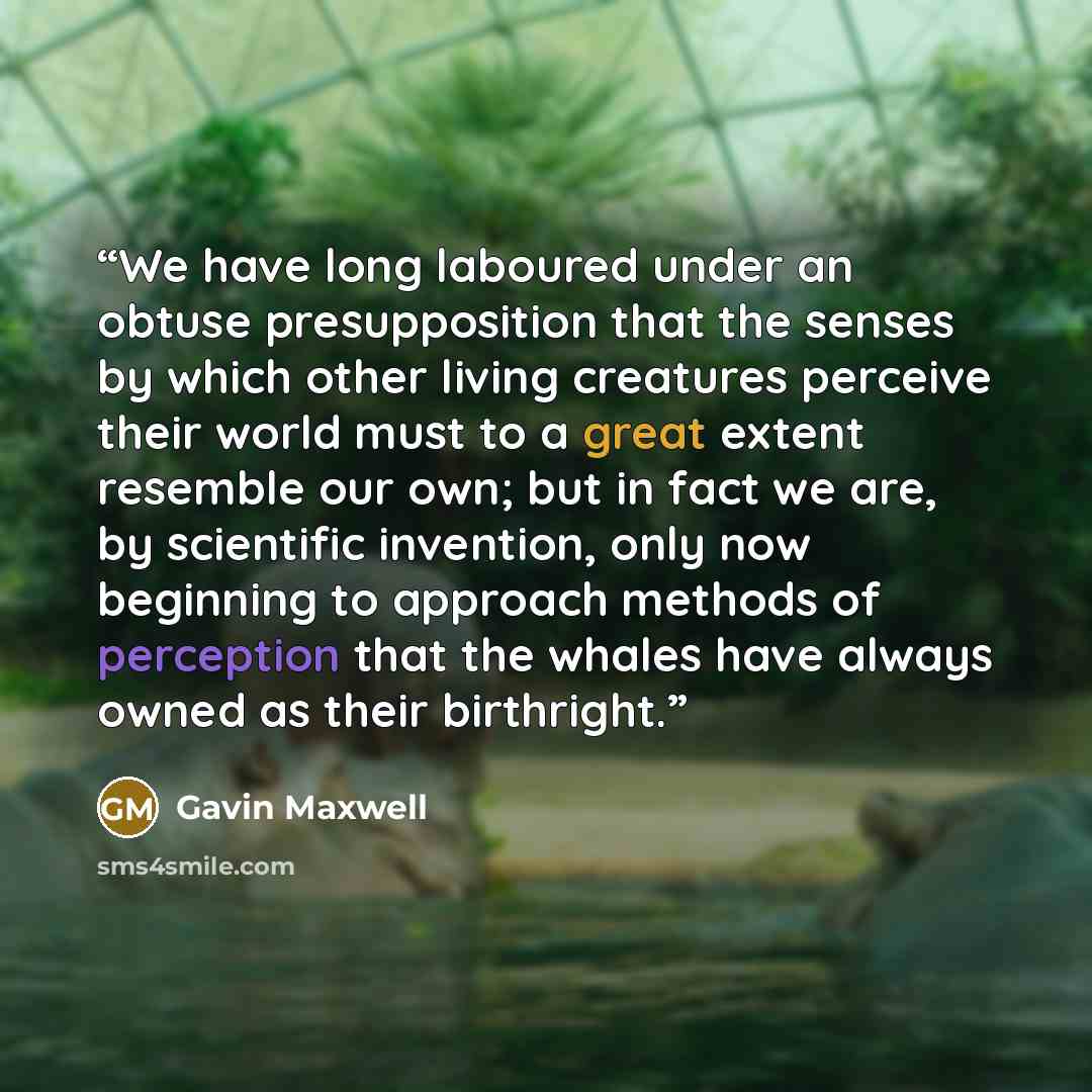 “We have long laboured under an obtuse presupposition that the senses by which other living creatures perceive their world must to a great extent resemble our own; but in fact we are, by scientific invention, only now beginning to approach methods of perception that the whales have always owned as…” quote by Gavin Maxwell