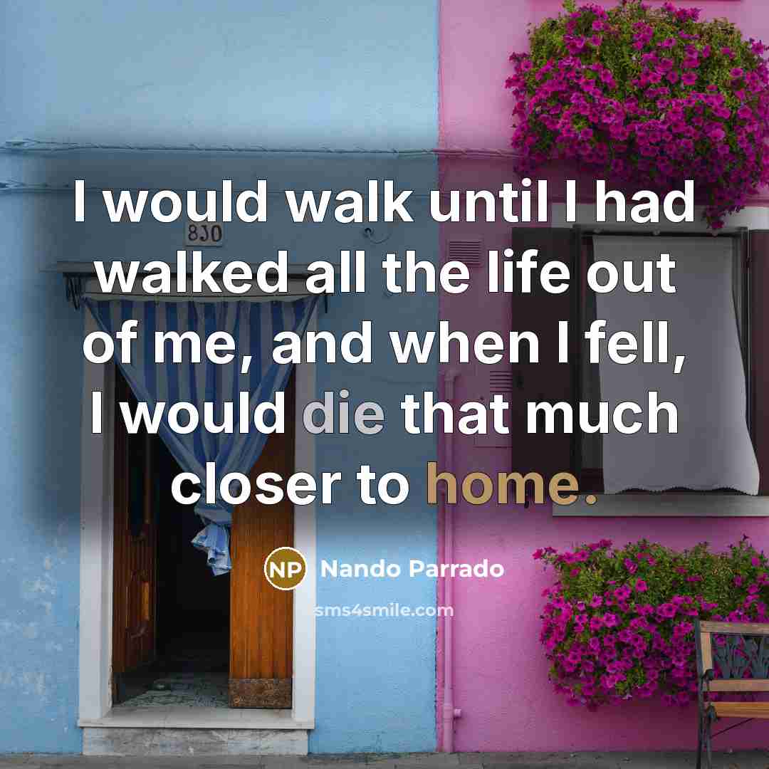 “I would walk until I had walked all the life out of me, and when I fell, I would die that much closer to home.” quote by Nando Parrado