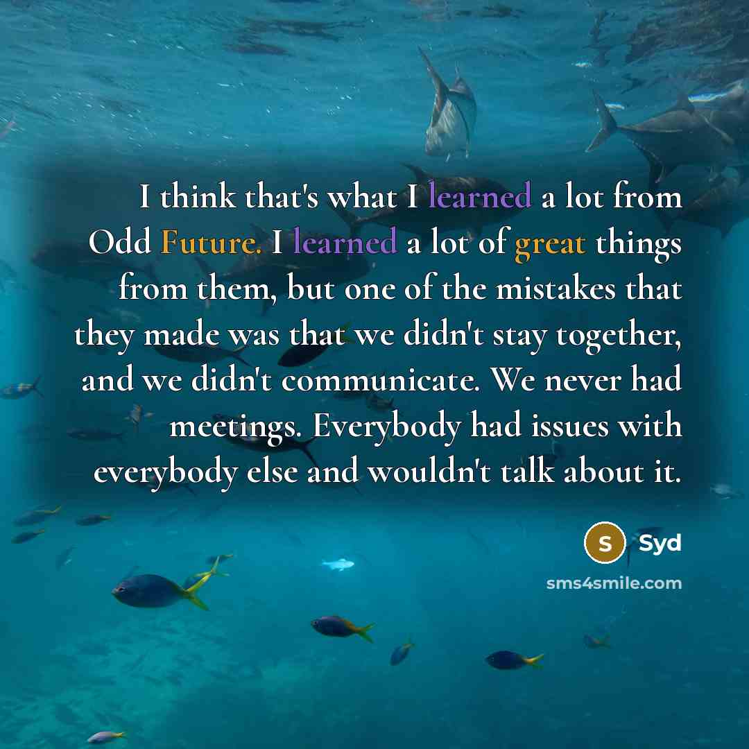 “I think that's what I learned a lot from Odd Future. I learned a lot of great things from them, but one of the mistakes that they made was that we didn't stay together, and we didn't communicate. We never had meetings. Everybody had issues with everybody else and wouldn't talk about it.” quote by Syd