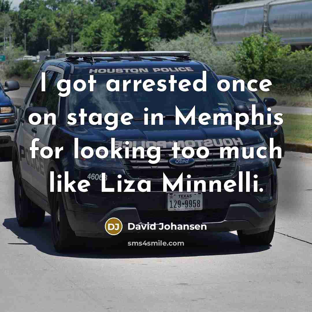 “I got arrested once on stage in Memphis for looking too much like Liza Minnelli.” quote by David Johansen