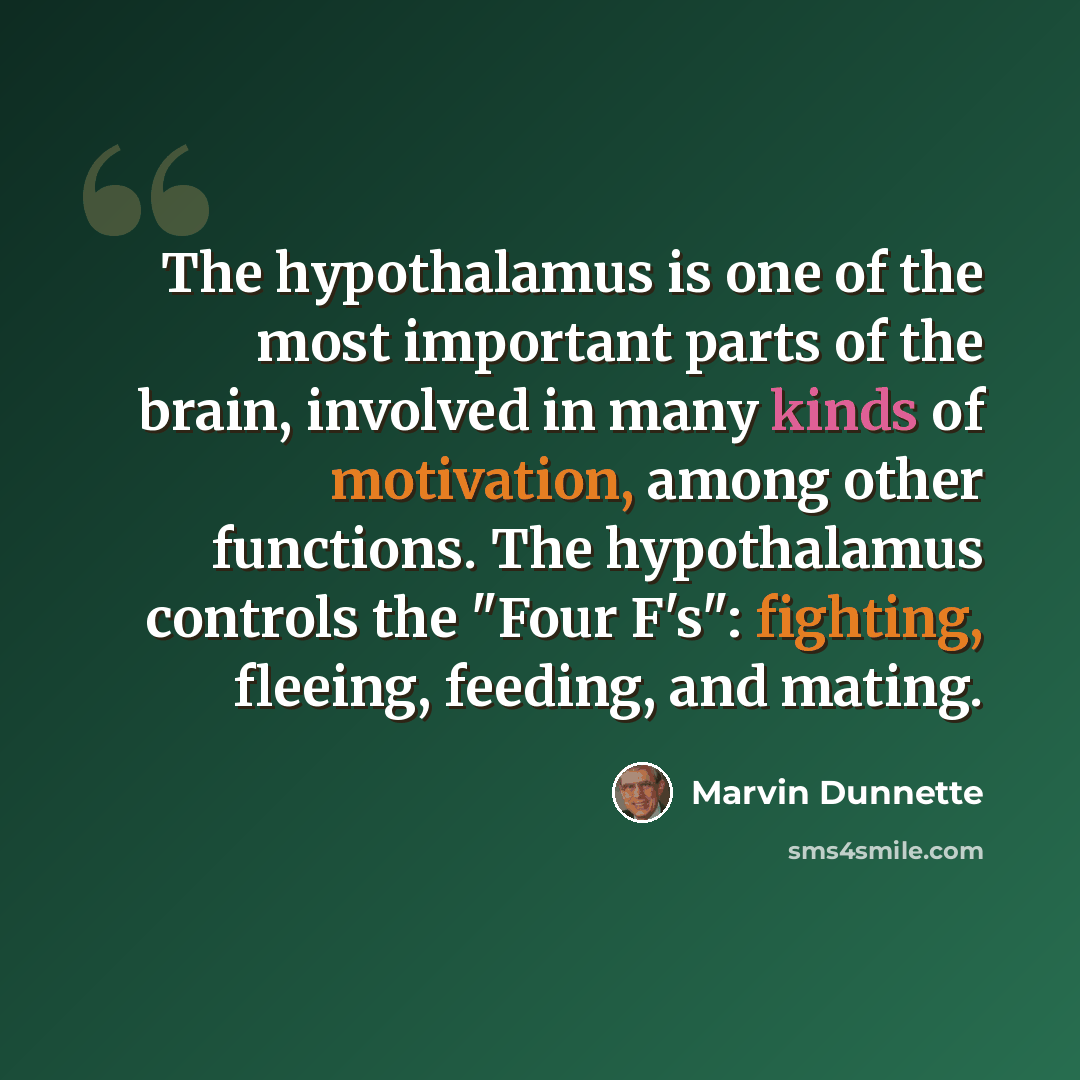 “The hypothalamus is one of the most important parts of the brain, involved in many kinds of motivation, among other functions. The hypothalamus controls the "Four F's": fighting, fleeing, feeding, and mating.” quote by Marvin Dunnette