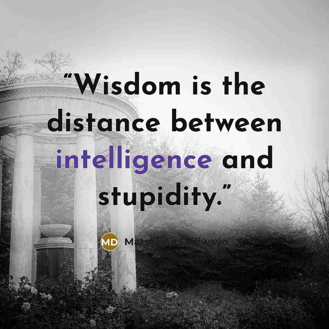 “Wisdom is the distance between intelligence and stupidity.” quote by Matshona Dhliwayo