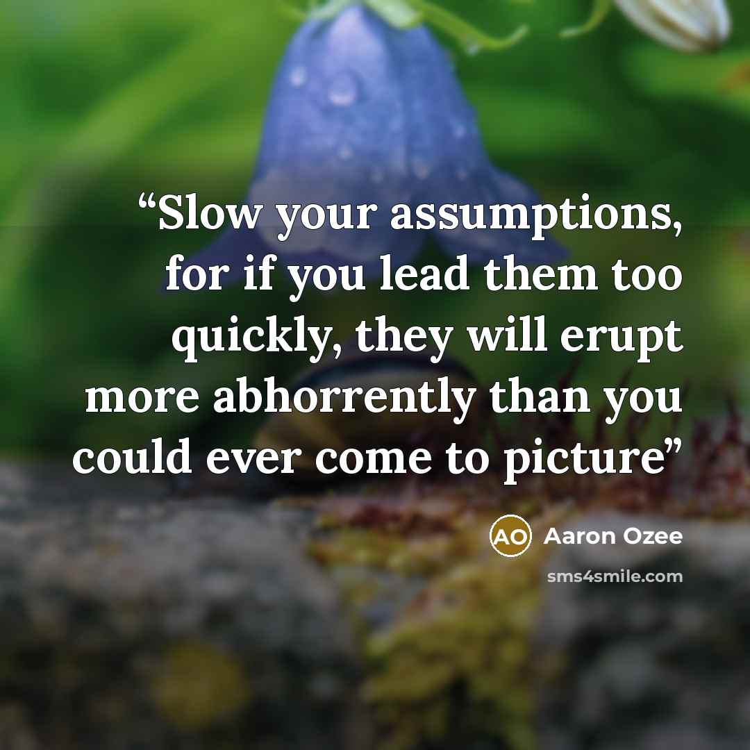 “Slow your assumptions, for if you lead them too quickly, they will erupt more abhorrently than you could ever come to picture” quote by Aaron Ozee