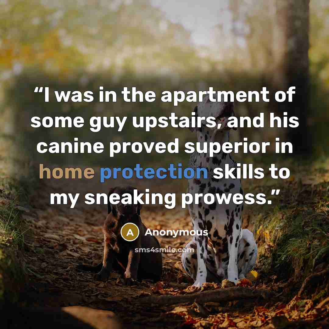 “I was in the apartment of some guy upstairs, and his canine proved superior in home protection skills to my sneaking prowess.” quote by Anonymous