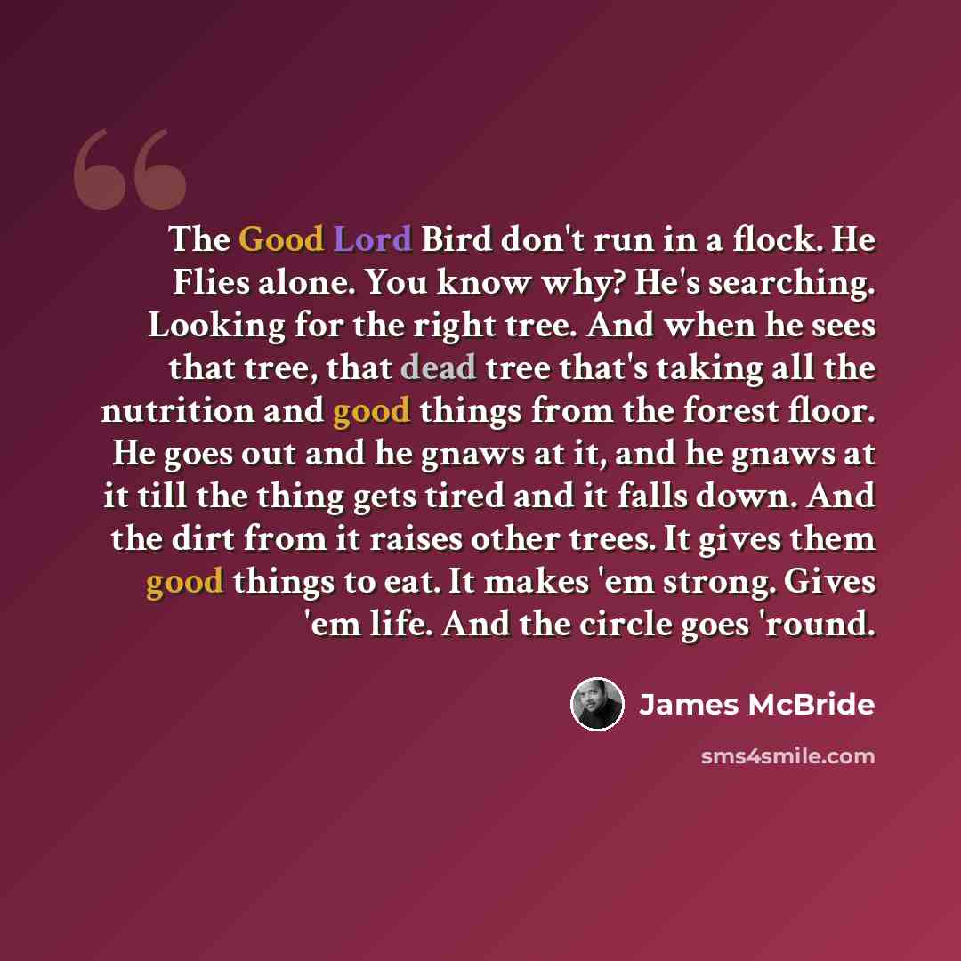 “The Good Lord Bird don't run in a flock. He Flies alone. You know why? He's searching. Looking for the right tree. And when he sees that tree, that dead tree that's taking all the nutrition and good things from the forest floor. He goes out and he gnaws at it, and he gnaws at it till the thing…” quote by James McBride