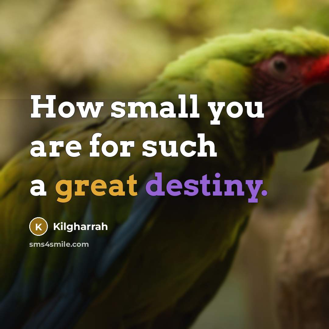 “How small you are for such a great destiny.” quote by Kilgharrah