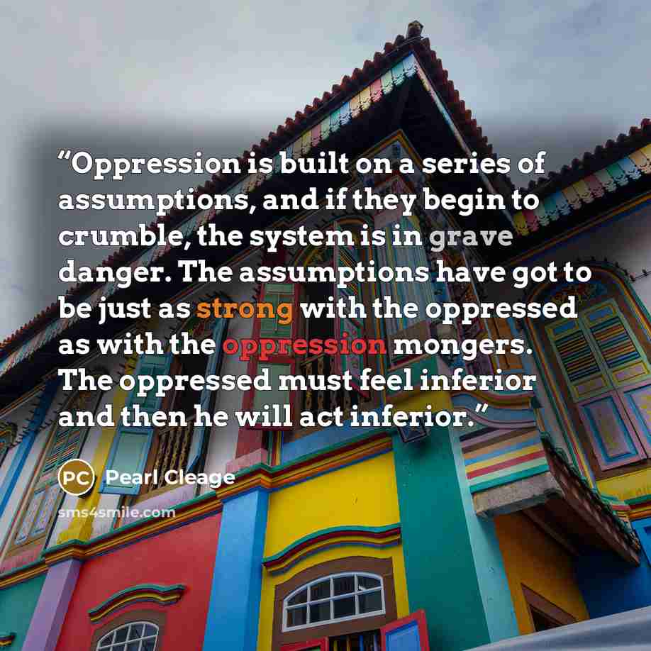 “Oppression is built on a series of assumptions, and if they begin to crumble, the system is in grave danger. The assumptions have got to be just as strong with the oppressed as with the oppression mongers. The oppressed must feel inferior and then he will act inferior.” quote by Pearl Cleage