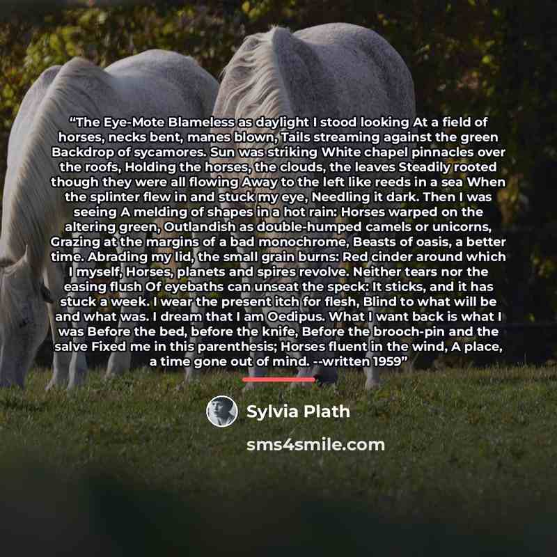 “The Eye-Mote Blameless as daylight I stood looking At a field of horses, necks bent, manes blown, Tails streaming against the green Backdrop of sycamores. Sun was striking White chapel pinnacles over the roofs, Holding the horses, the clouds, the leaves Steadily rooted though they were all flowing…” quote by Sylvia Plath