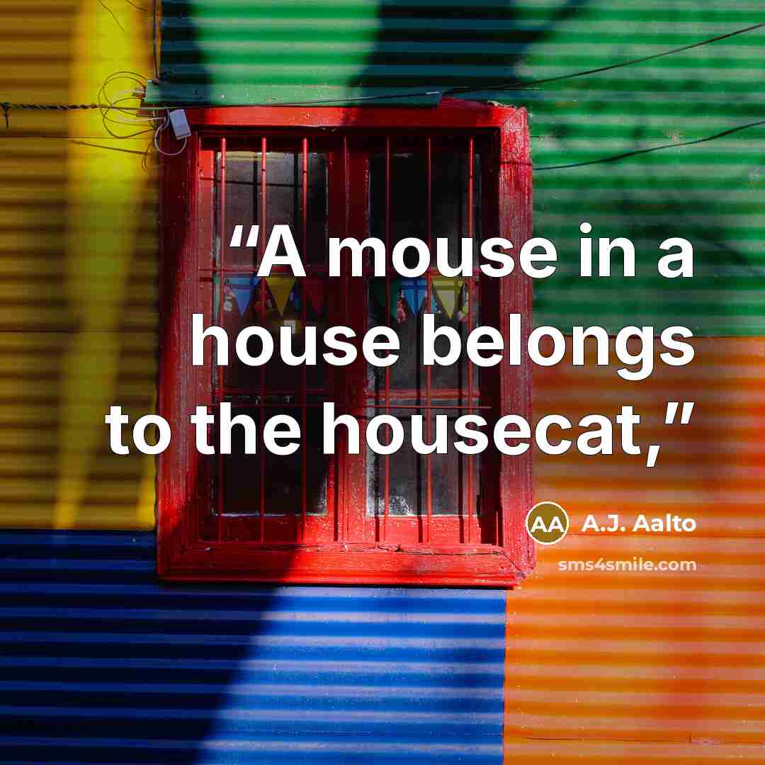 “A mouse in a house belongs to the housecat,” quote by A.J. Aalto