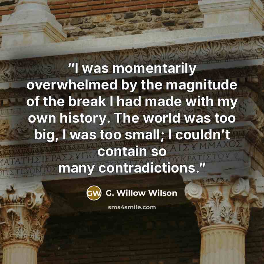 “I was momentarily overwhelmed by the magnitude of the break I had made with my own history. The world was too big, I was too small; I couldn’t contain so many contradictions.” quote by G. Willow Wilson