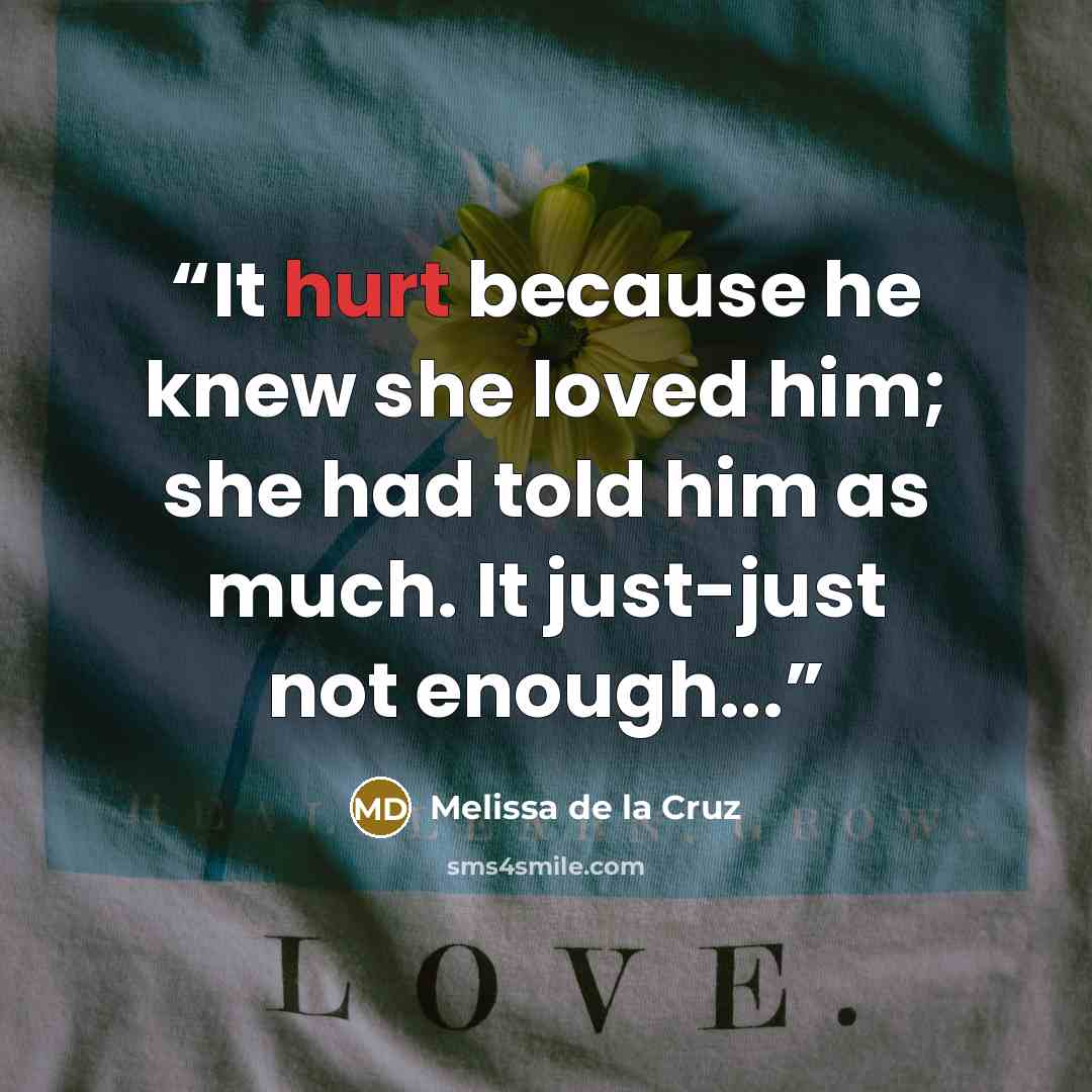 “It hurt because he knew she loved him; she had told him as much. It just-just not enough...” quote by Melissa de la Cruz