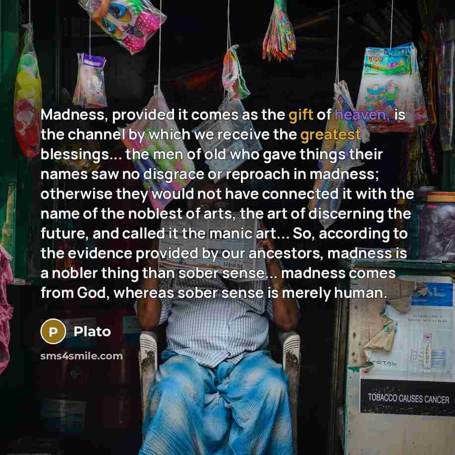 “Madness, provided it comes as the gift of heaven, is the channel by which we receive the greatest blessings... the men of old who gave things their names saw no disgrace or reproach in madness; otherwise they would not have connected it with the name of the noblest of arts, the art of discerning…” quote by Plato