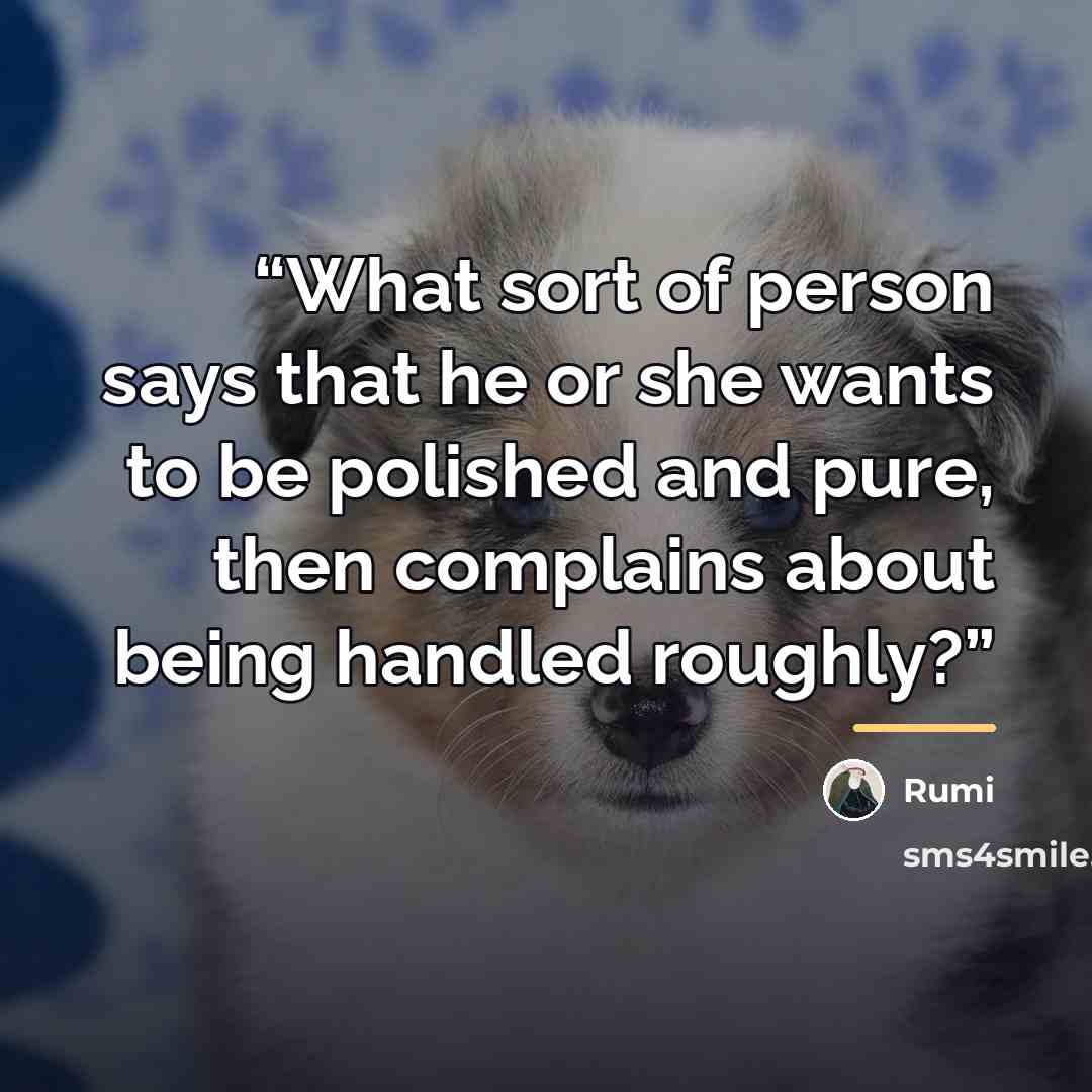 “What sort of person says that he or she wants to be polished and pure, then complains about being handled roughly?” quote by Rumi