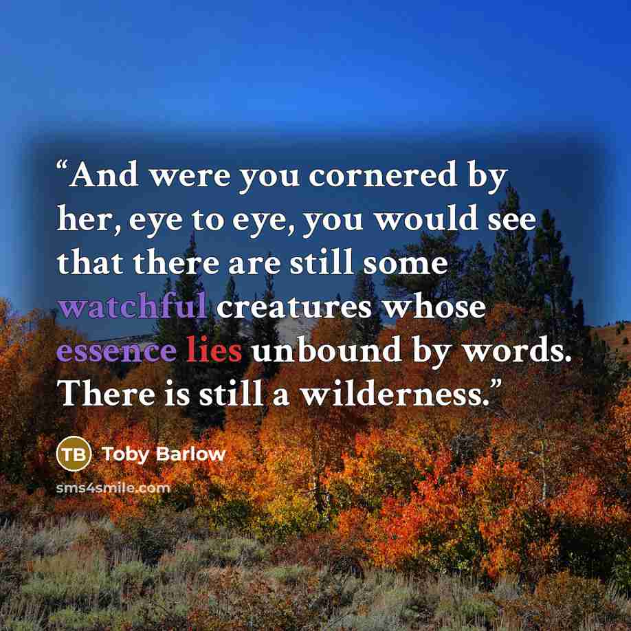“And were you cornered by her, eye to eye, you would see that there are still some watchful creatures whose essence lies unbound by words. There is still a wilderness.” quote by Toby Barlow