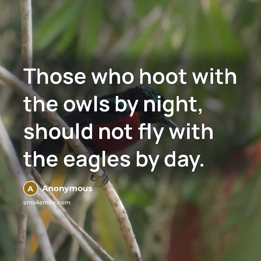 “Those who hoot with the owls by night, should not fly with the eagles by day.” quote by Anonymous