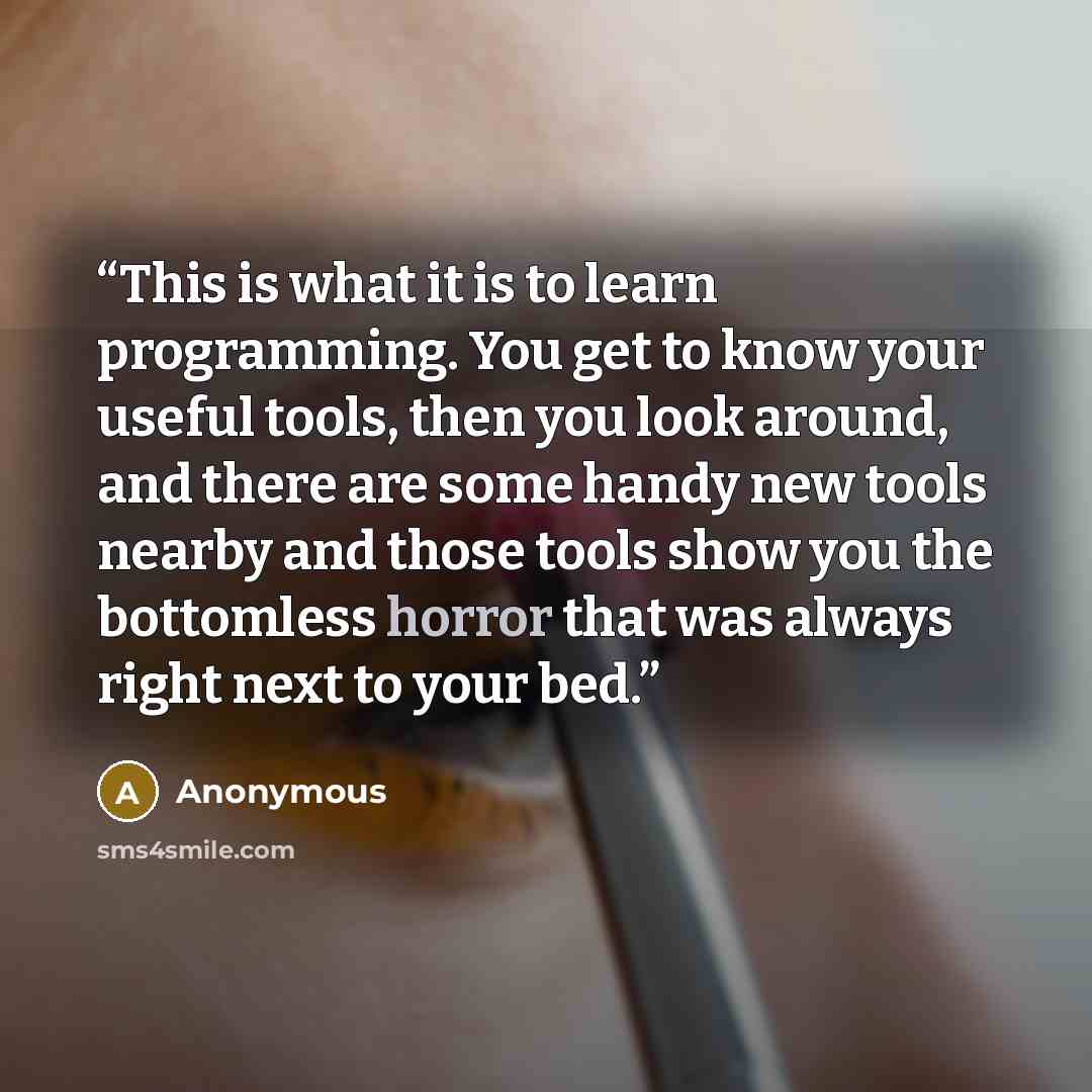 “This is what it is to learn programming. You get to know your useful tools, then you look around, and there are some handy new tools nearby and those tools show you the bottomless horror that was always right next to your bed.” quote by Anonymous