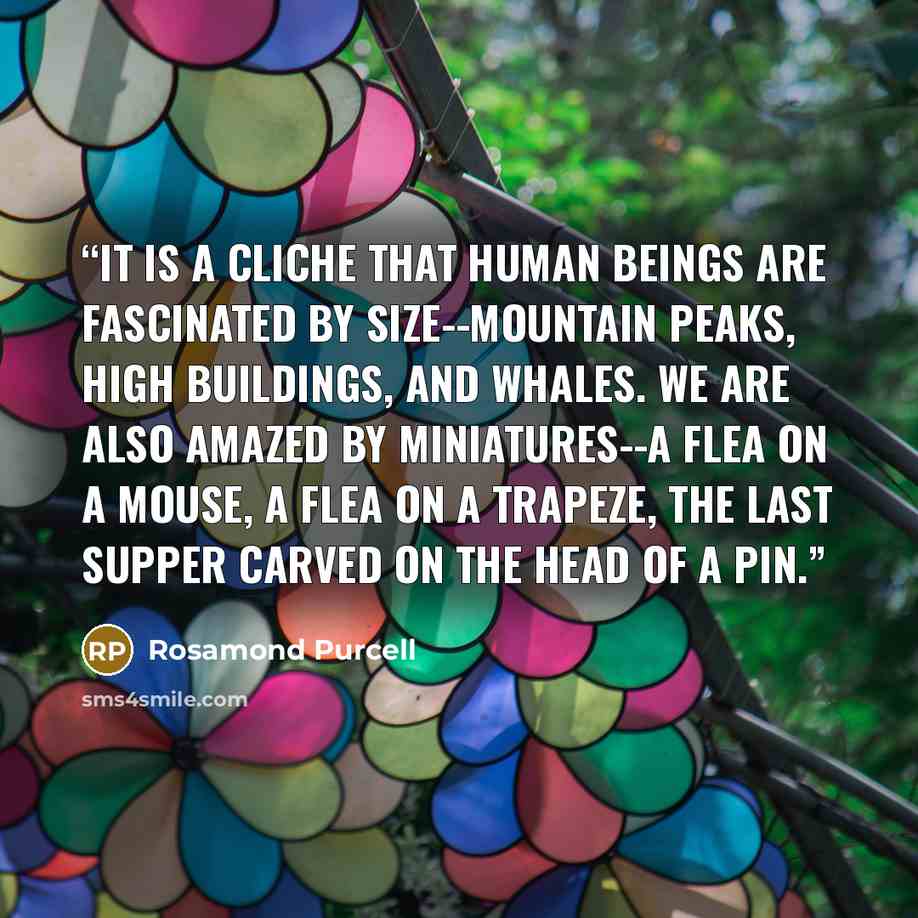 “It is a cliche that human beings are fascinated by size--mountain peaks, high buildings, and whales. We are also amazed by miniatures--a flea on a mouse, a flea on a trapeze, the Last Supper carved on the head of a pin.” quote by Rosamond Purcell
