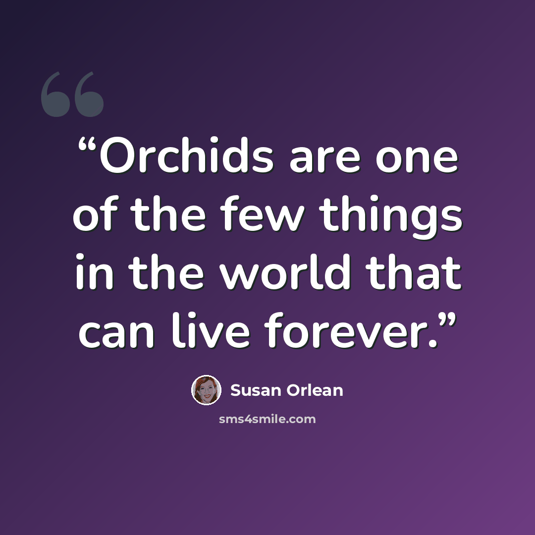“Orchids are one of the few things in the world that can live forever.” quote by Susan Orlean