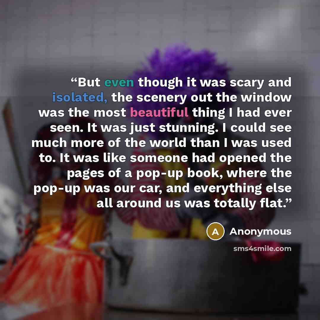 “But even though it was scary and isolated, the scenery out the window was the most beautiful thing I had ever seen. It was just stunning. I could see much more of the world than I was used to. It was like someone had opened the pages of a pop-up book, where the pop-up was our car, and everything…” quote by Anonymous