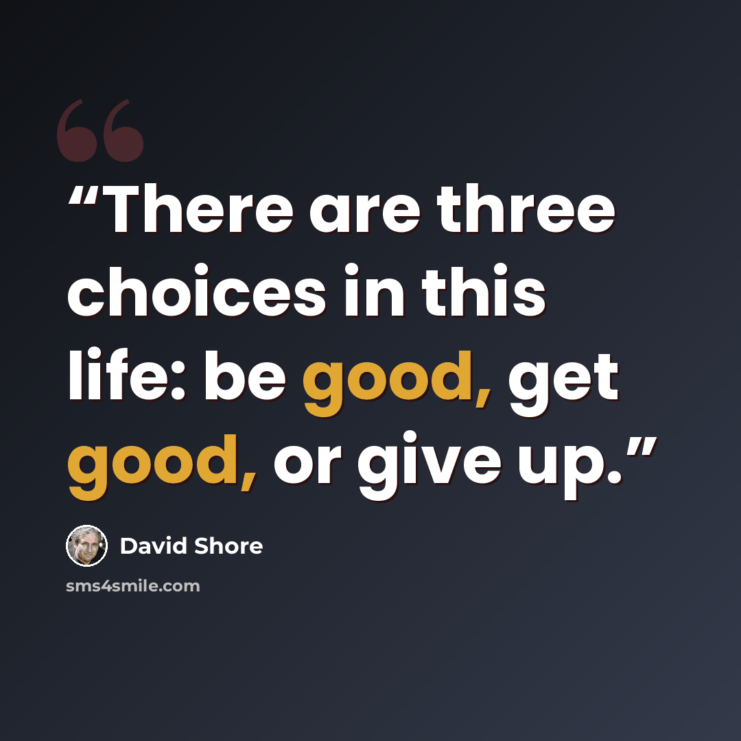 “There are three choices in this life: be good, get good, or give up.” quote by David Shore