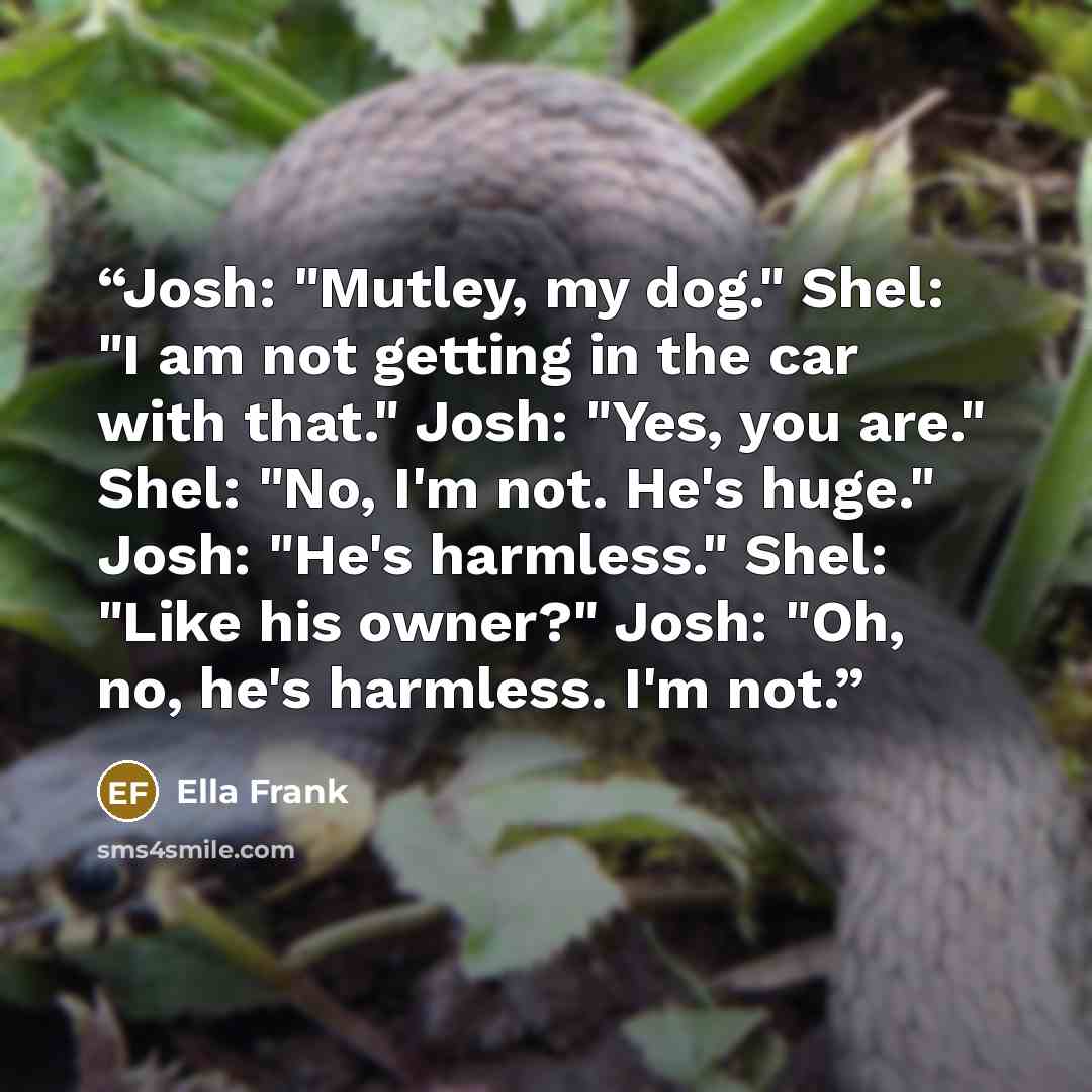 “Josh: "Mutley, my dog." Shel: "I am not getting in the car with that." Josh: "Yes, you are." Shel: "No, I'm not. He's huge." Josh: "He's harmless." Shel: "Like his owner?" Josh: "Oh, no, he's harmless. I'm not.” quote by Ella Frank