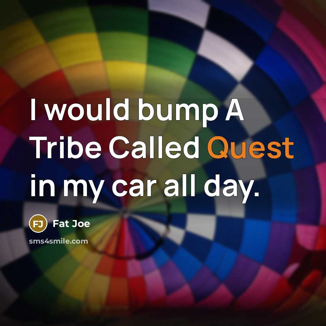 “I would bump A Tribe Called Quest in my car all day.” quote by Fat Joe