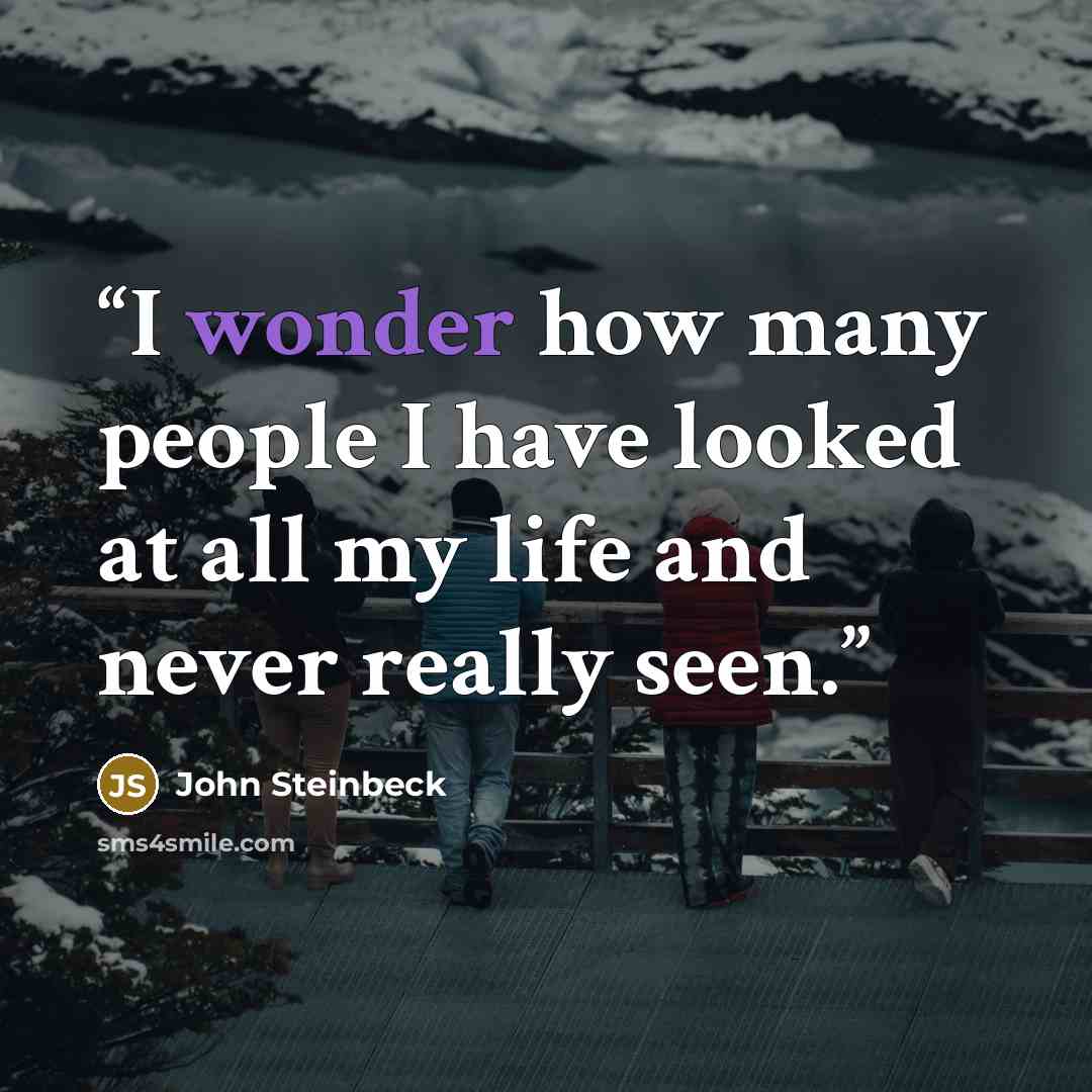 “I wonder how many people I have looked at all my life and never really seen.” quote by John Steinbeck