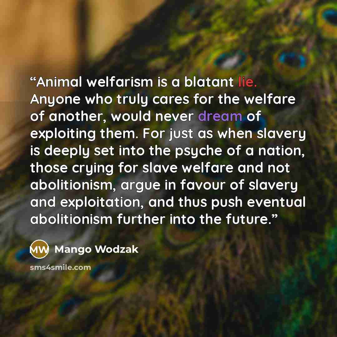 “Animal welfarism is a blatant lie. Anyone who truly cares for the welfare of another, would never dream of exploiting them. For just as when slavery is deeply set into the psyche of a nation, those crying for slave welfare and not abolitionism, argue in favour of slavery and exploitation, and thus…” quote by Mango Wodzak