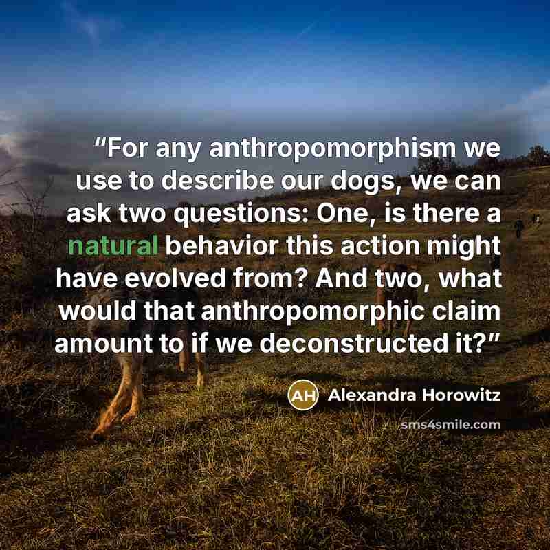 “For any anthropomorphism we use to describe our dogs, we can ask two questions: One, is there a natural behavior this action might have evolved from? And two, what would that anthropomorphic claim amount to if we deconstructed it?” quote by Alexandra Horowitz